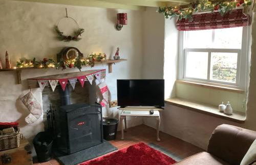 Penrallt-Fach Traditional Welsh cottage Pembrokeshire - Foto 30