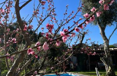 Vila de Campos - Gerês - Foto 15