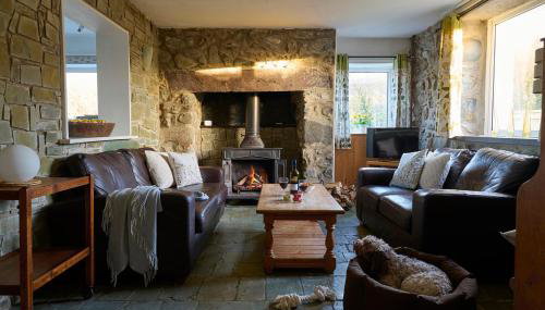 Golan - Ukc4677 - Foto 4