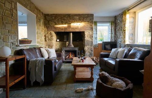 Golan - Ukc4677 - Foto 4