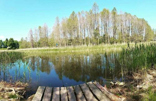 Łosiówka Domek nad Sapiną - Foto 9