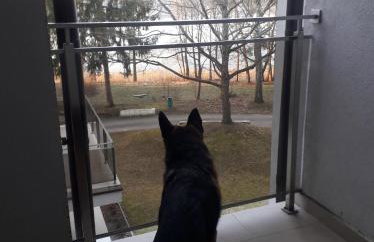 Apartament Perła 22 Jezioro Pluszne - Foto 7