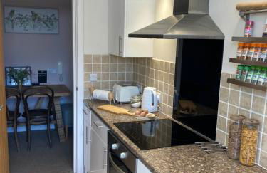 The Wild Daisy - Foto 12