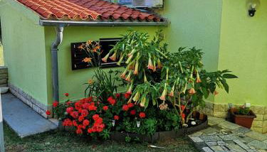 Holiday Home Matosevic - Foto 2