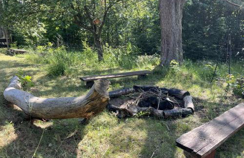 Domek nad jeziorem Mausz - Foto 2