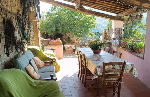 Agriturismo Podere Tegline - Foto 51