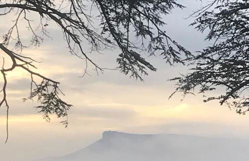 A l Aube du Midi - Foto 42