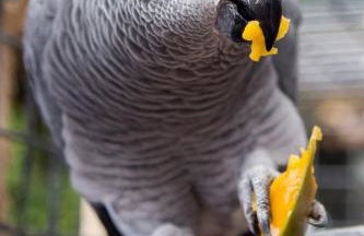 Room with a view - Photo 50