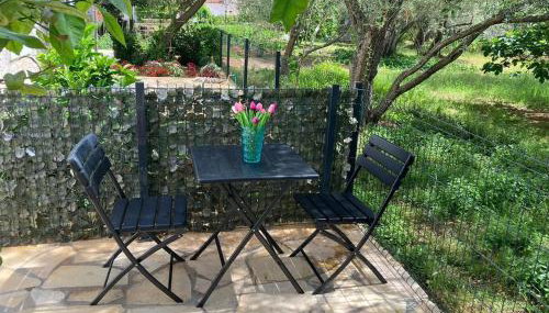 Sweet studio - Foto 1, Garden