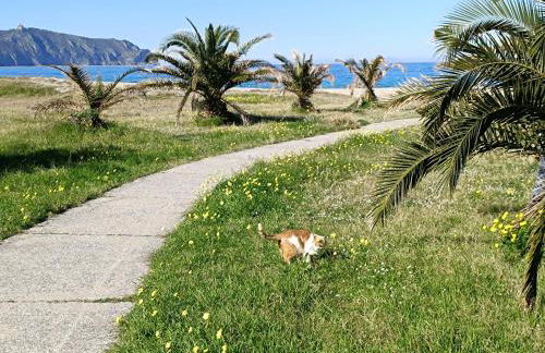 DIASPRO "Sea, Sun and Relax" - Foto 25