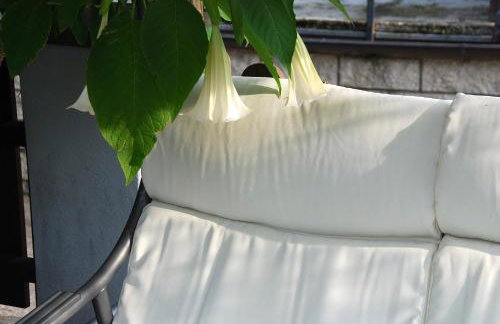 Hotel - Appartements Schmied Hans - Photo 77