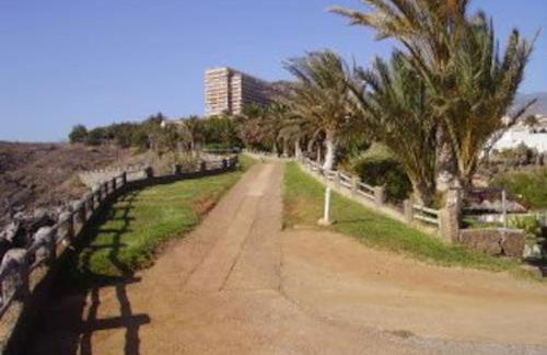 marazul del sur - Foto 14