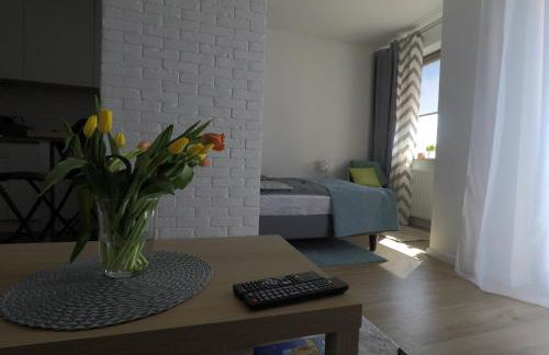 Apartament Zamojska - GarwoNocka - Foto 13