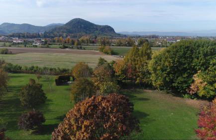 Agriturismo Corte d'acqua - Foto 43