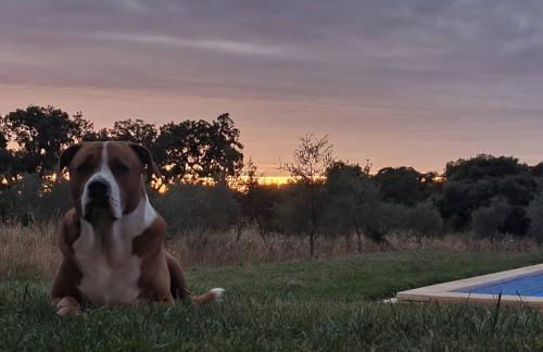 Monte Quinta Verde - Foto 33