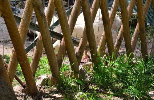 Appartamenti Tortorella - Foto 69