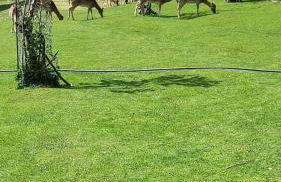 La Dimora in Pietra - Foto 41