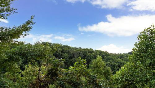 Pappy's Peak 2 Bedroom Cabin by RedAwning - Foto 4