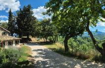 Casa Flori & Leonardo's Country House - Foto 61