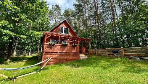 Gryfne Kaszuby - Foto 2