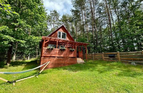 Gryfne Kaszuby - Foto 2