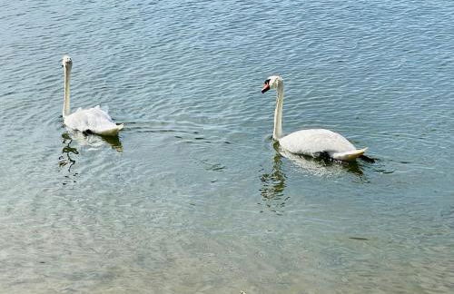 Moderne Ferienwohnung am Rothsee - Foto 12