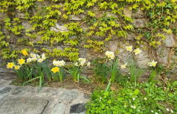 Villa gli Ulivi - Calafate Lake & Mountain View - Foto 32