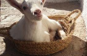 Casas Rurales La Loma Del Carrascal - Foto 21