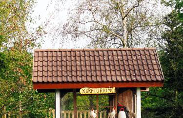 Siedlisko Słoneczny Jar - Foto 38