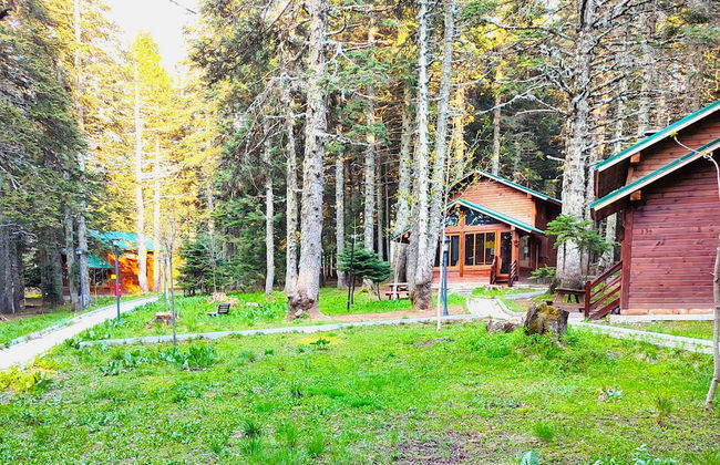 Karinna Forest Houses - Foto 26