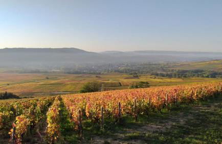 Appartement Indépendant Chagny - Foto 40