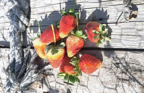 Un Paraiso En Tenerife - Foto 30