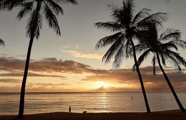 Sea Change Beachfront Apartments - Foto 32