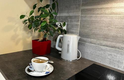 Apartamenty pod Szczęśliwym Koniem - Foto 1