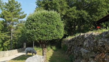 Domaine GEODORA, Parfumeur en Provence - Foto 5, Garden