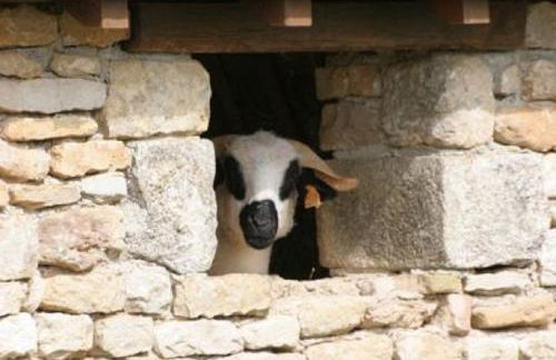 La maison du Maréchal - Foto 23