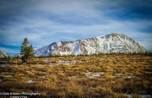 Snowcreek 253 Apartment - Photo 43