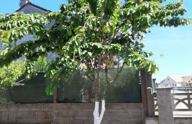 La petite escale - Foto 8