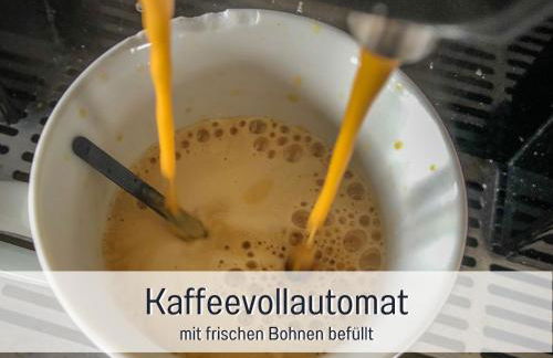 Ferienwohnung im Sauerland Hunde willkommen Kamin und Garten am Waldrand Muehls-Sauerland - Foto 26