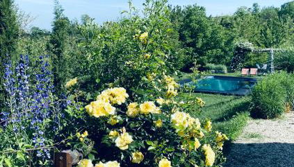 ROSTAGNI 1834 apt in villa with pool in the Barolo region - Foto 2