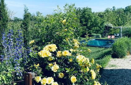 ROSTAGNI1834: VILLA WITH 2 APTS AND POOL IN THE BAROLO REGION - Foto 2