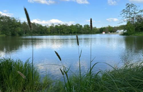 Tolle Ferienwohnung mit Loggia in Schauenstein 100qm bei Hof an der Saale Frankenwald - Foto 69