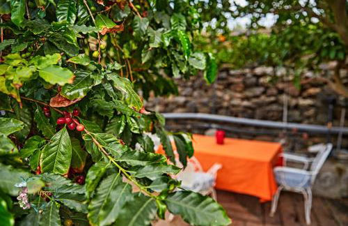 Finca OASIS Fataga - Foto 76