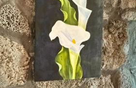 Casa de Sant'ana - Photo 25