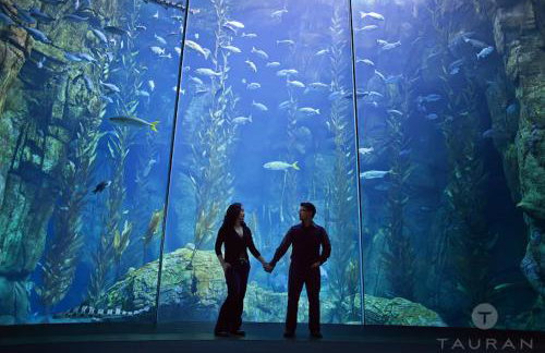 Long Beach House - Foto 54