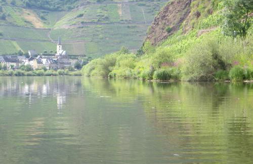 Ferienwohnung Wagner 4 Sterne - Photo 49