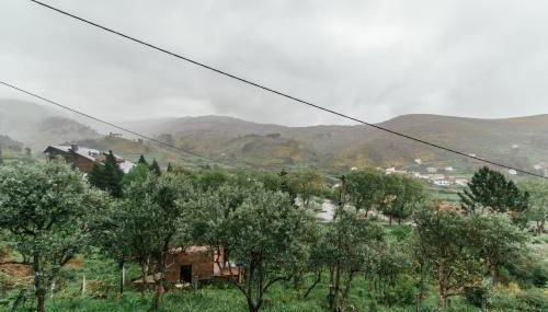 Unhais Valley - Country House - Foto 3