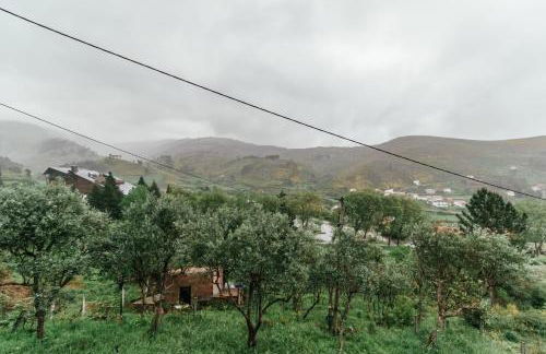 Unhais Valley - Country House - Foto 3