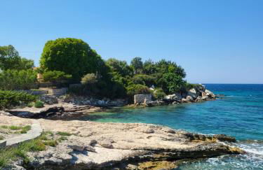 Alexia's resorts - Photo 9