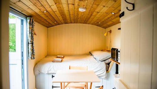 Cosy Shepherd's Hut with Hot Tub - Foto 4